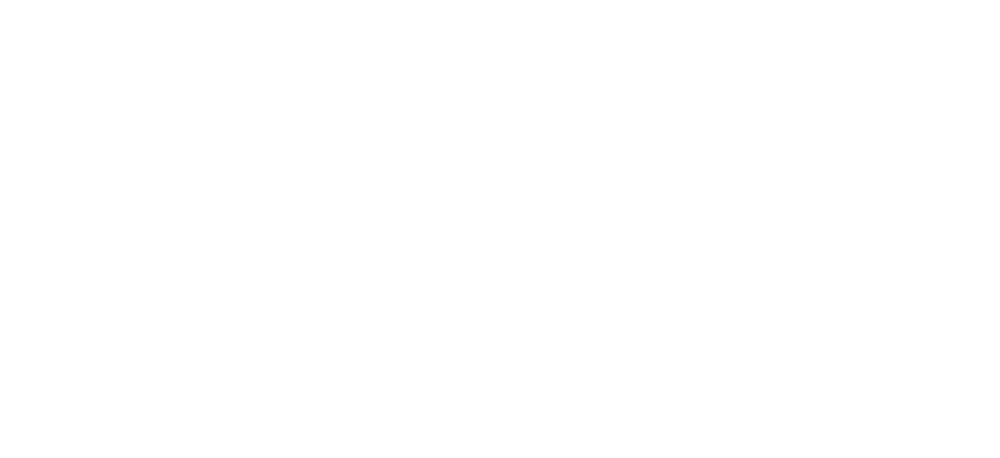 TRAIX